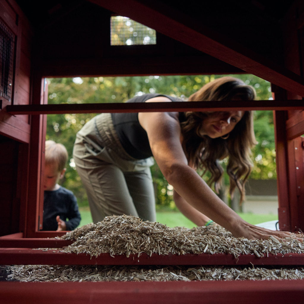 Chicken Coop for 10 Chickens – Rhode Island Homestead Coop with Run Extension Options