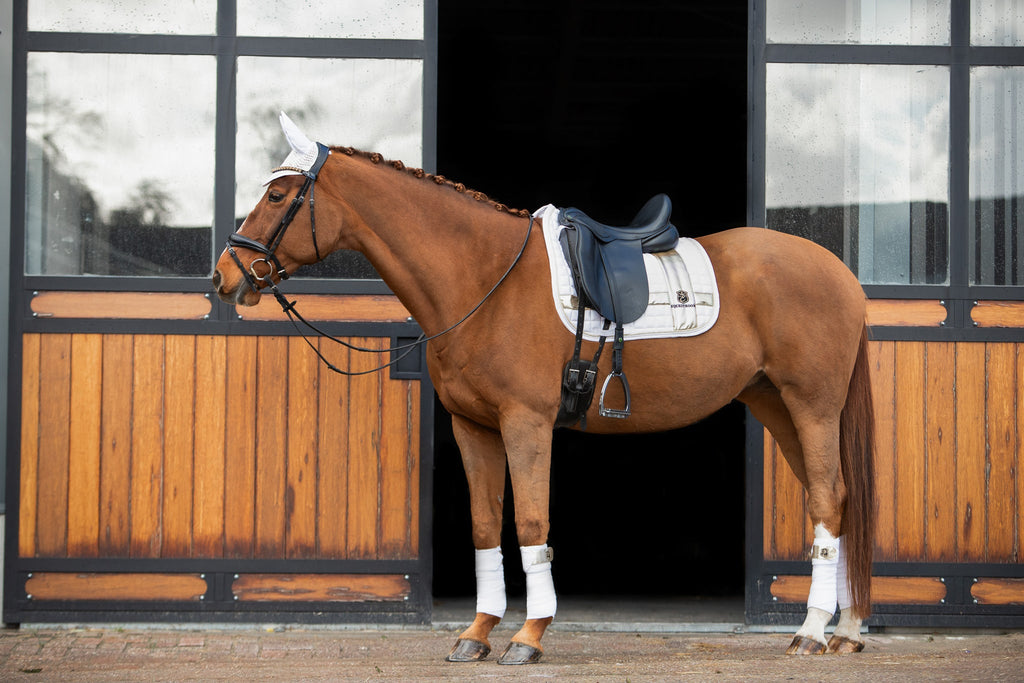 Snowlight Saddle Pad