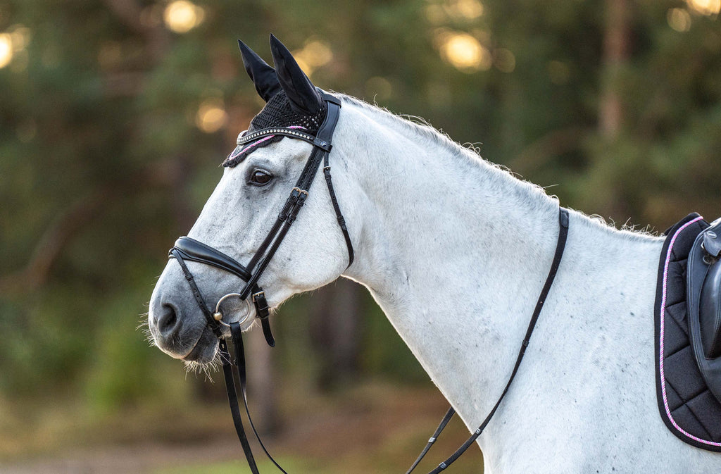 Midnight Black Saddle Pad Set
