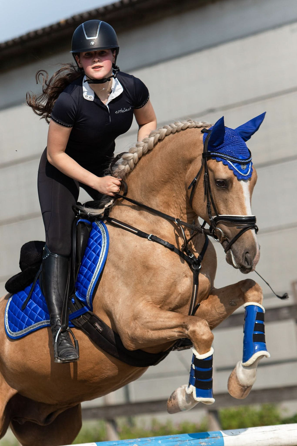 Majorelle Blue Saddle Pad Set