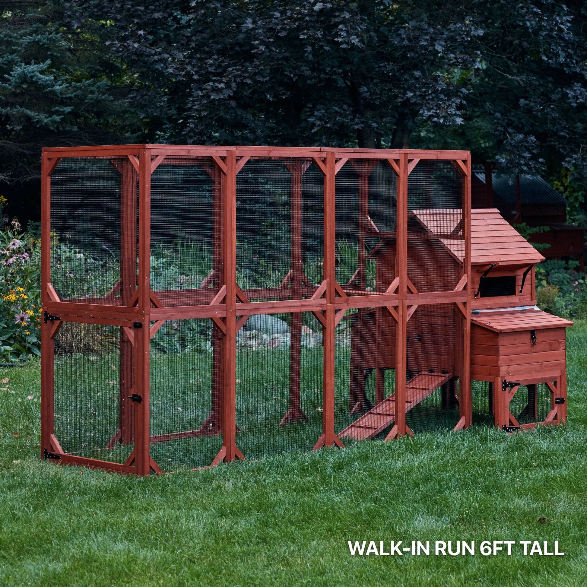 Chicken Coop for 6 Chickens – Orpington Lodge