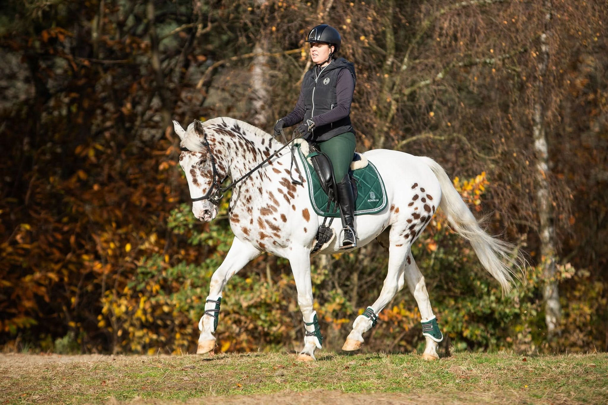 Pine Grove Saddle Pad Set