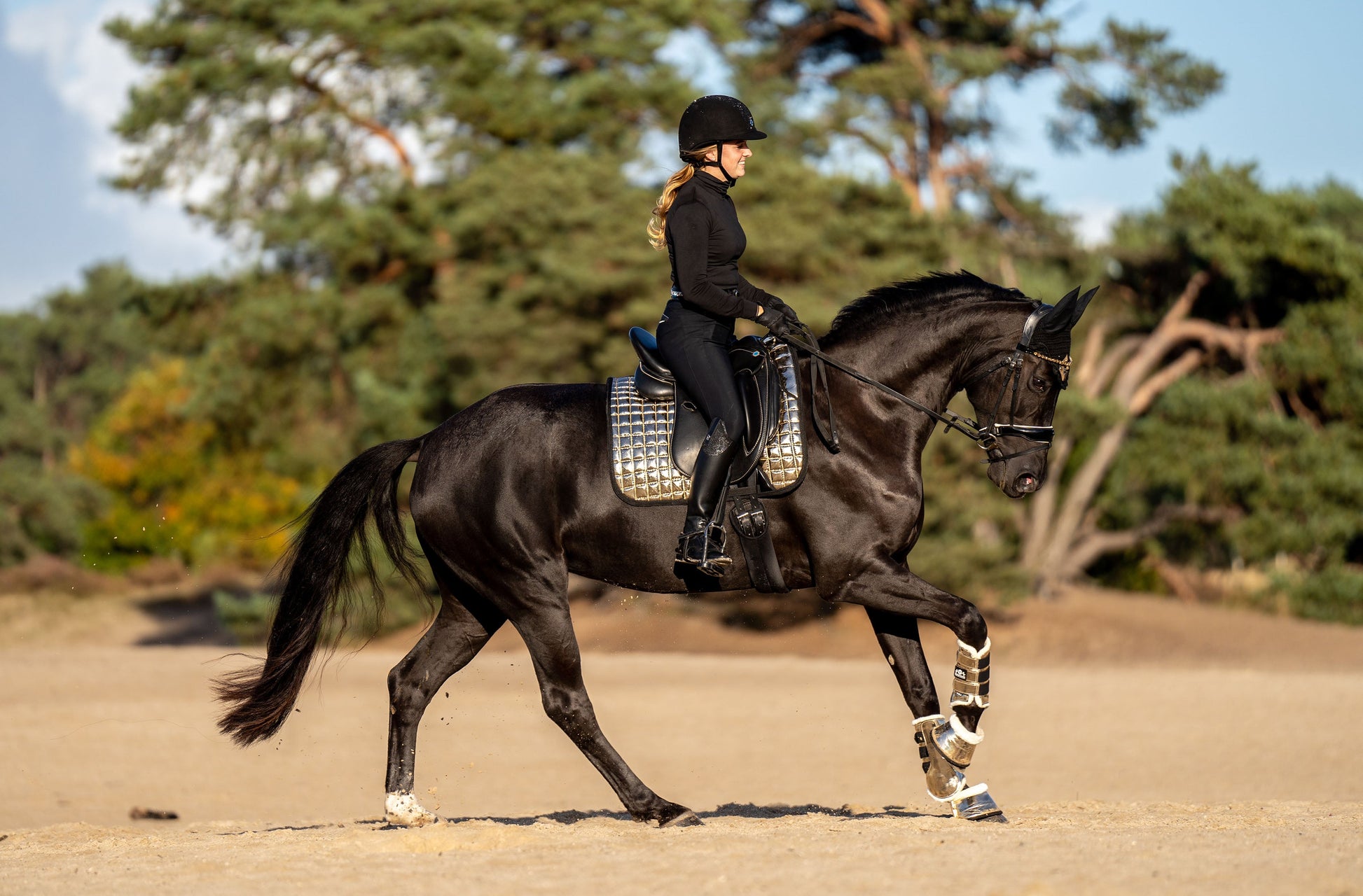 Aurum Saddle Pad
