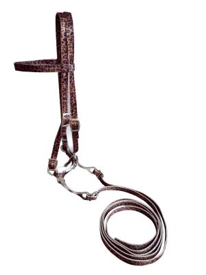 Horse Size Premium nylon Cheetah Print browband headstall or Reins (available separately)