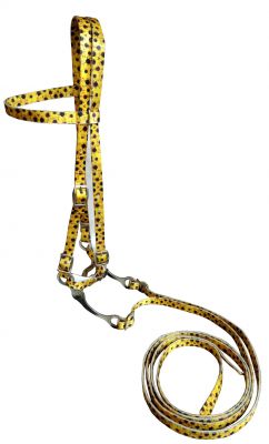 Horse Size Premium nylon Sunflower Print browband headstall & Reins with bit