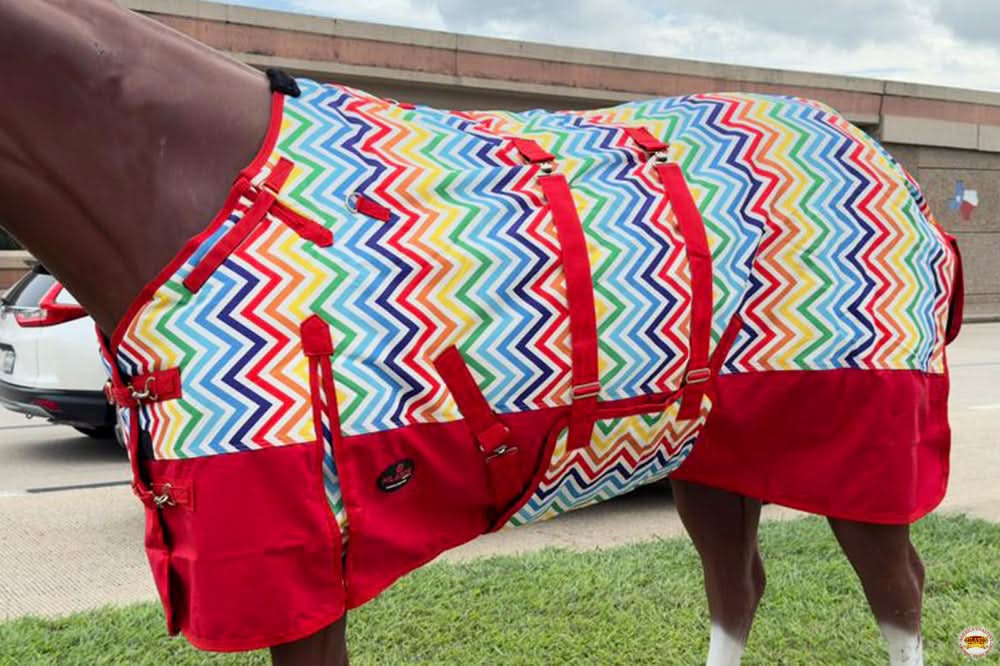 66"- 84" Hilason 1200D Winter Waterproof Turnout Horse Blanket Belly Wrap