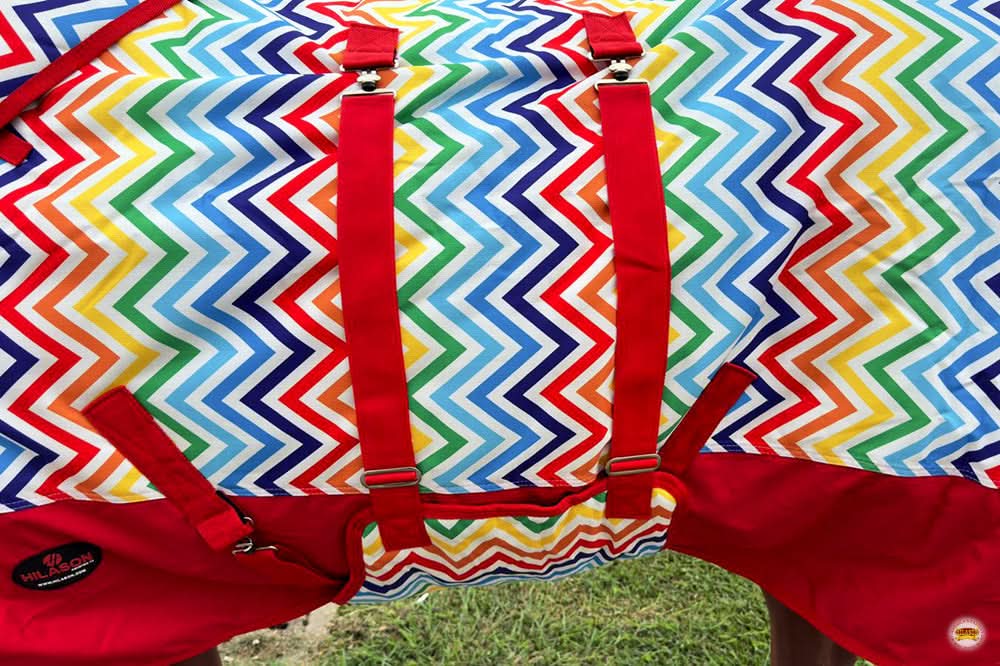 66"- 84" Hilason 1200D Winter Waterproof Turnout Horse Blanket Belly Wrap