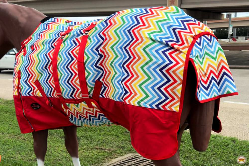 66"- 84" Hilason 1200D Winter Waterproof Turnout Horse Blanket Belly Wrap