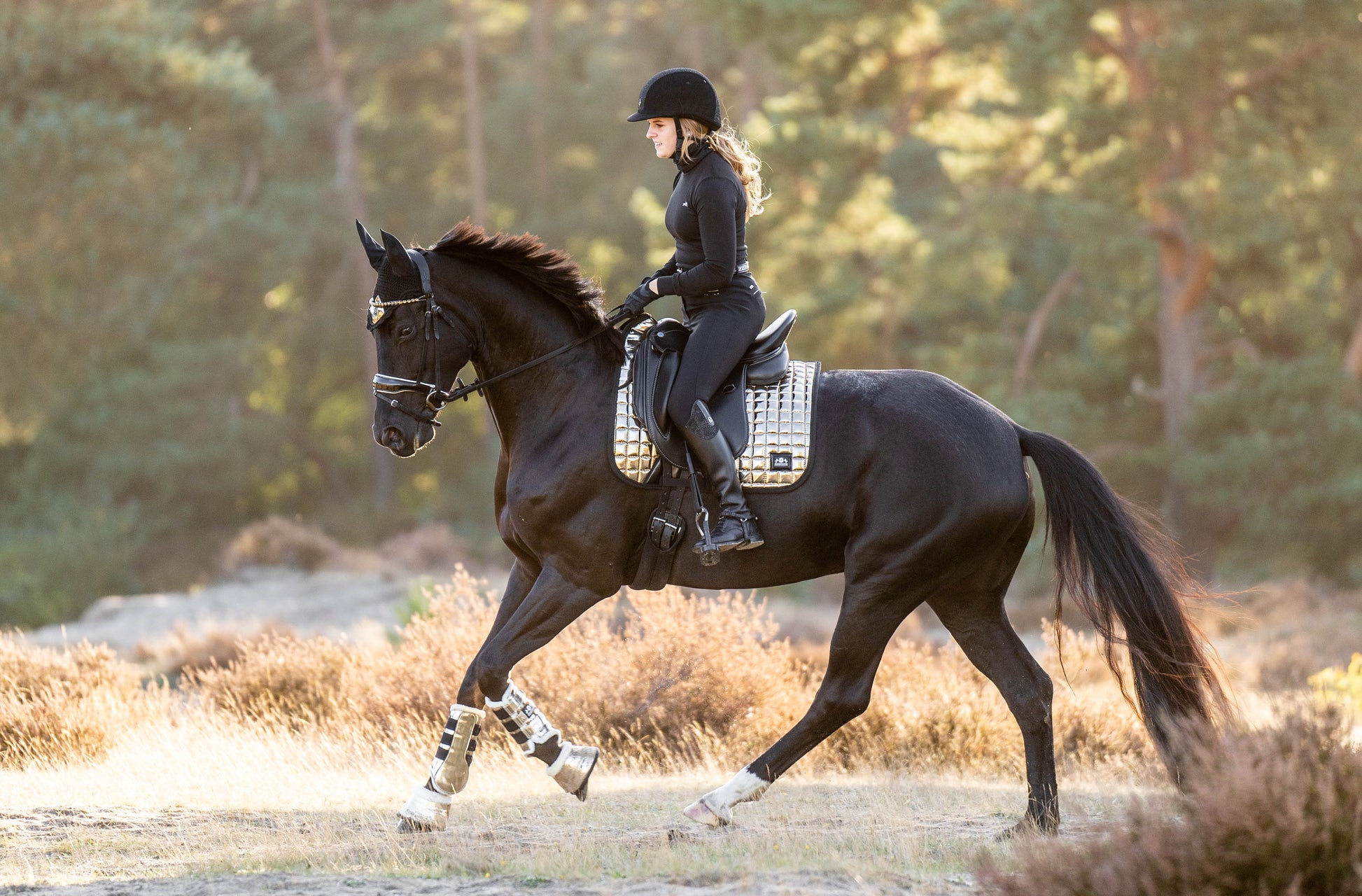 Aurum Saddle Pad