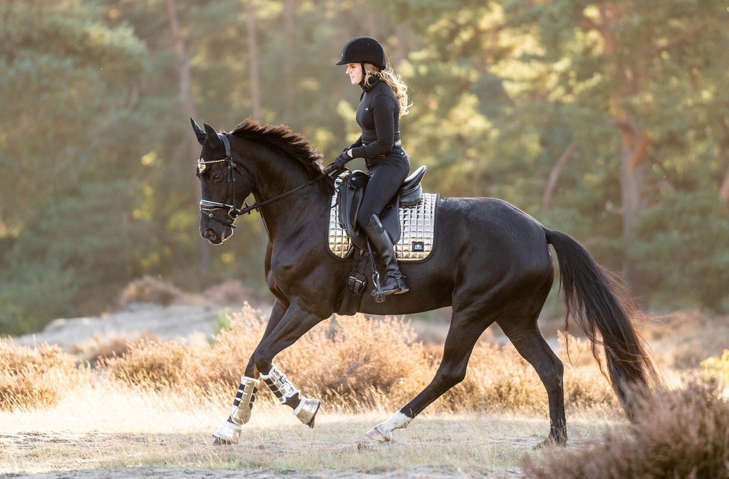 Aurum Brushing Boots
