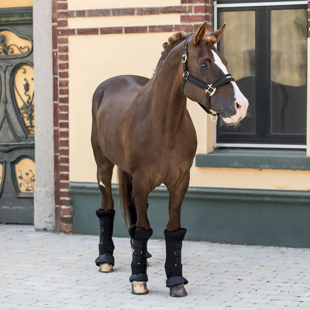 Back On Track Horse Leg Pair Royal Quick Wraps Deluxe Polyester Black Flexible Protective Boots