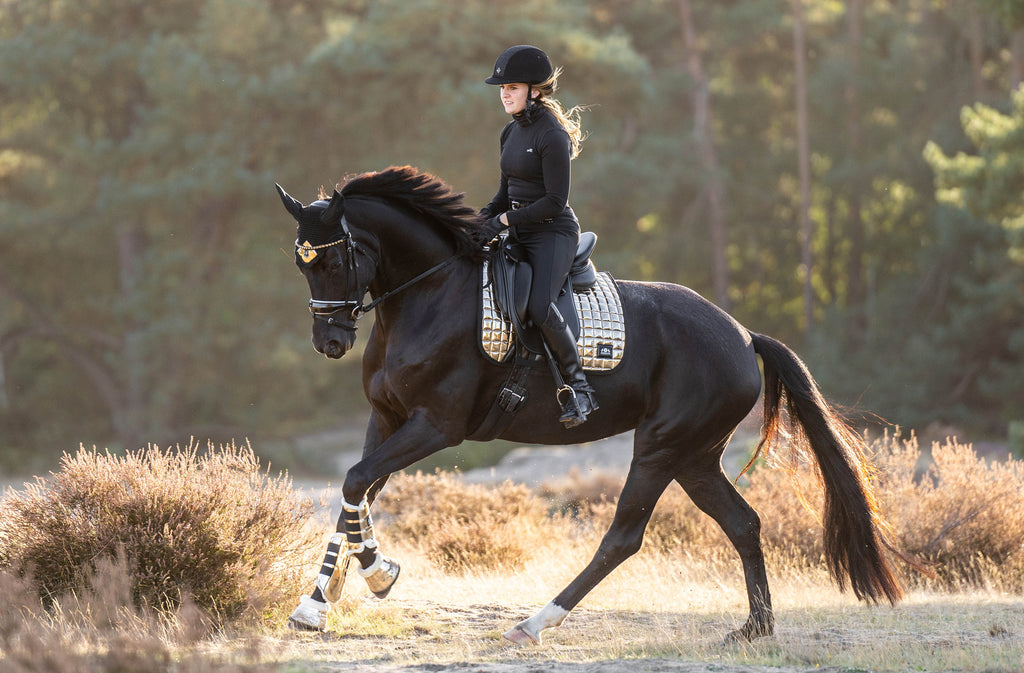 Aurum Saddle Pad Set
