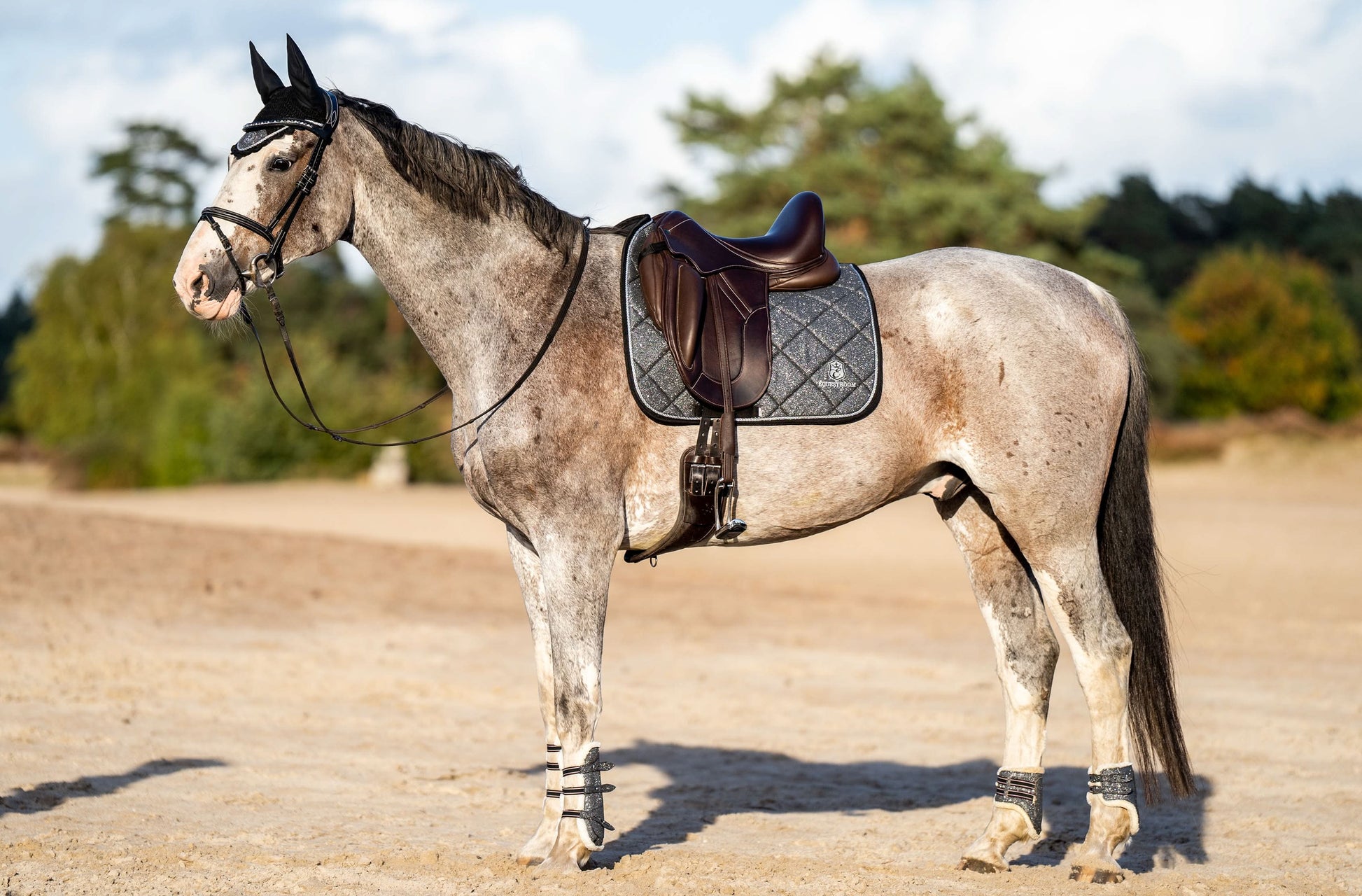 Stardust Grey Saddle Pad Set