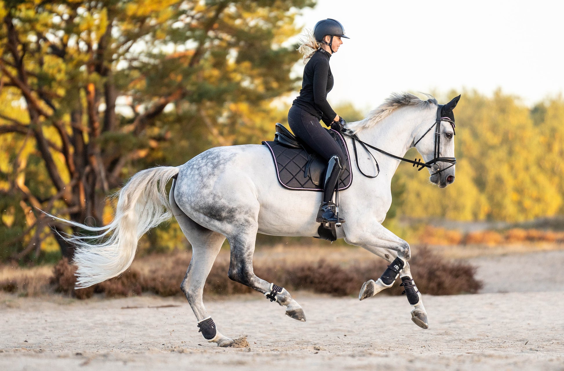 Midnight Black Saddle Pad