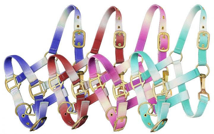 Premium nylon Pony sized ombre halter with nickel plated hardware