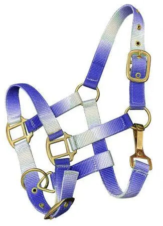 Premium nylon Pony sized ombre halter with nickel plated hardware