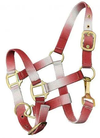 Premium nylon Pony sized ombre halter with nickel plated hardware