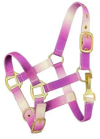 Premium nylon Pony sized ombre halter with nickel plated hardware