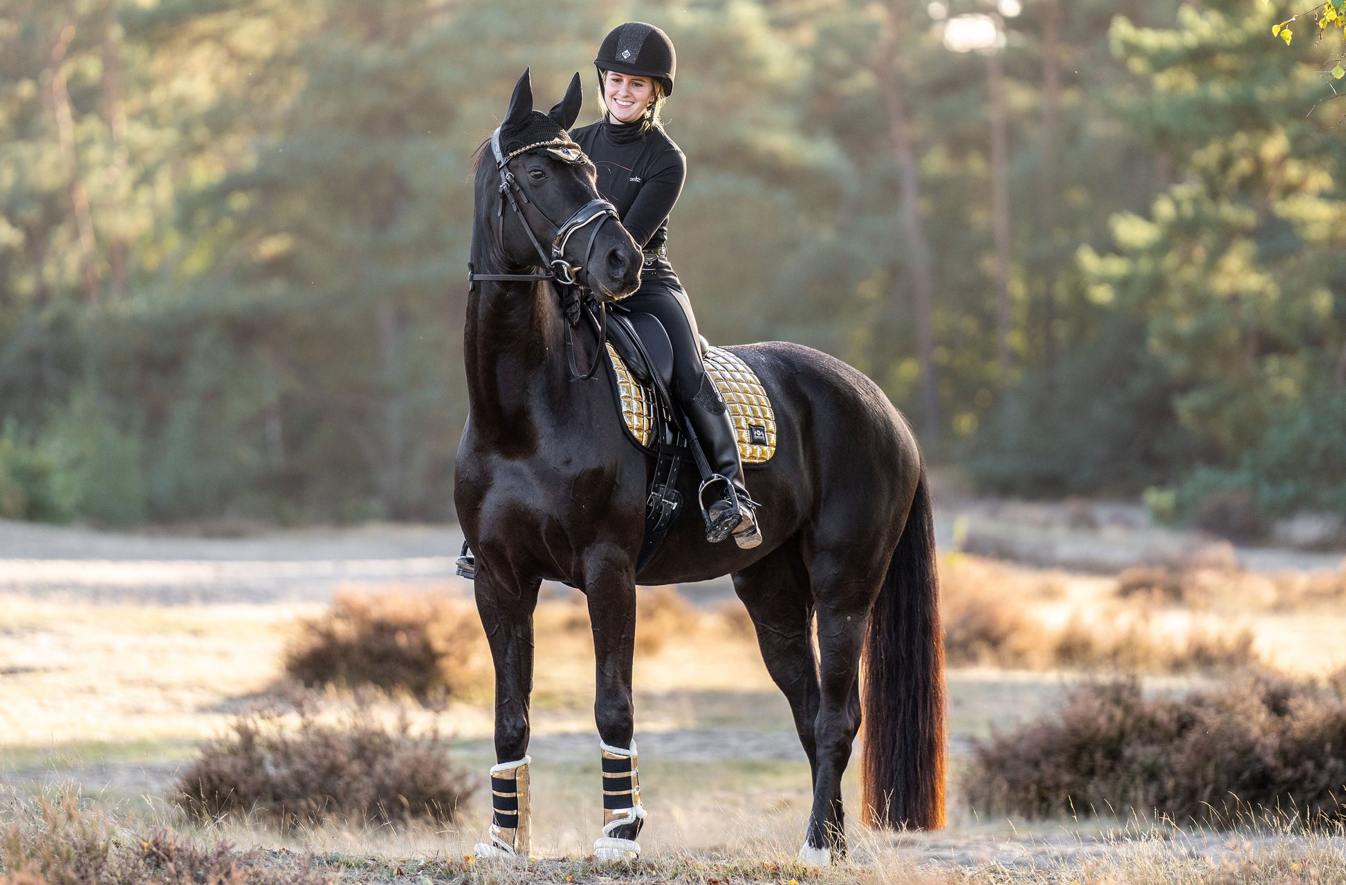 Aurum Saddle Pad Set