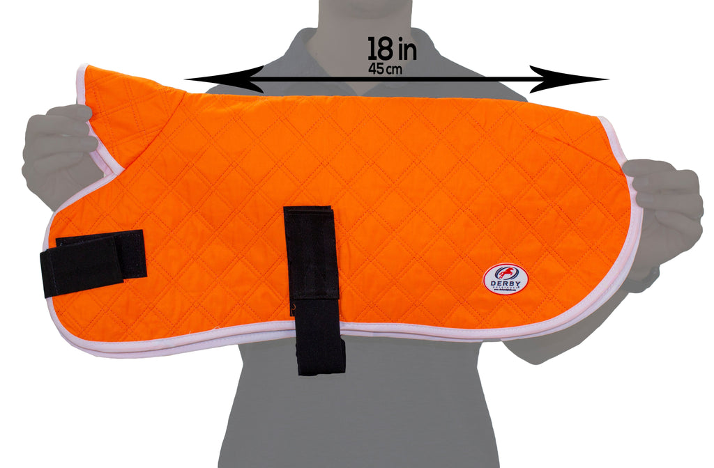 Derby Originals Hydro Cooling Dog Jacket with Harness Compatible Opening, Reflects Heat & Keeps Dogs Cool for up to 10 Hours