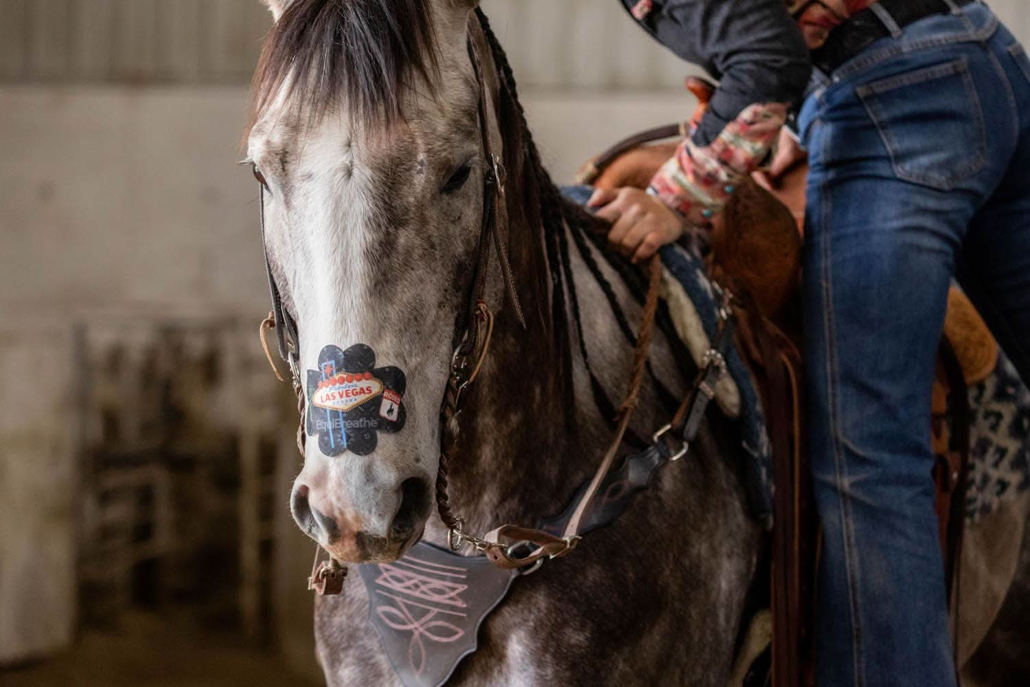 EquiBreathe™ Equine Nasal Patch - Vegas