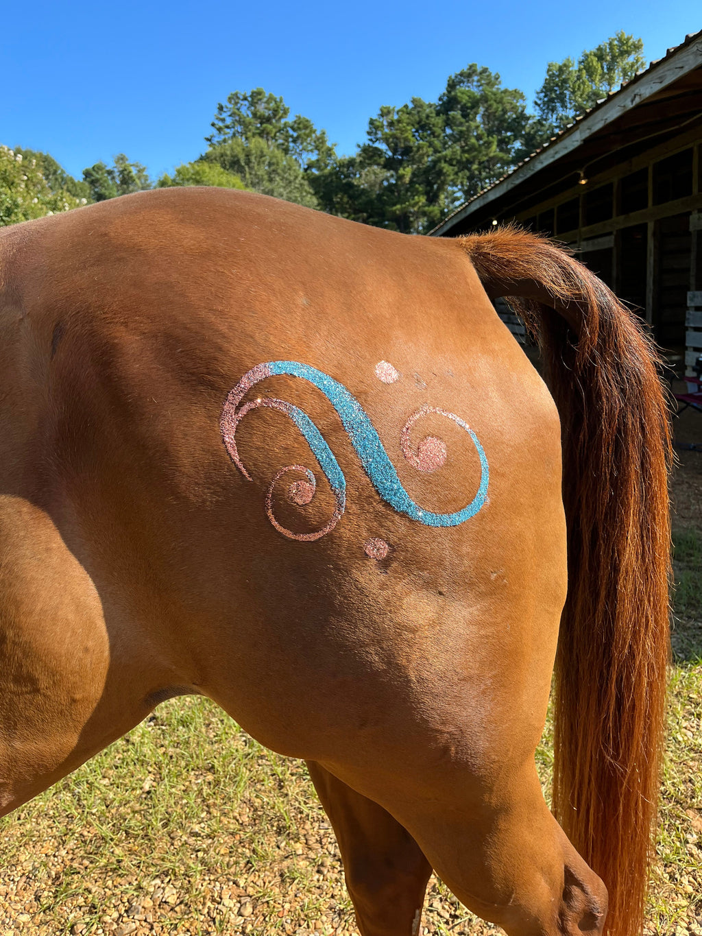 Swirl with Dots