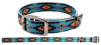 Teal Southwest designed nylon dog collar