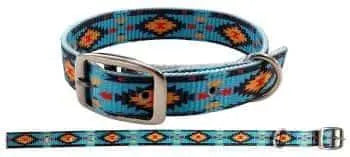 Teal Southwest designed nylon dog collar
