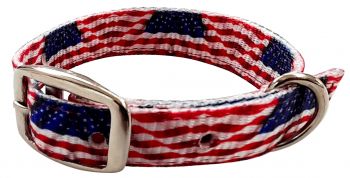 American Flag designed nylon dog collar