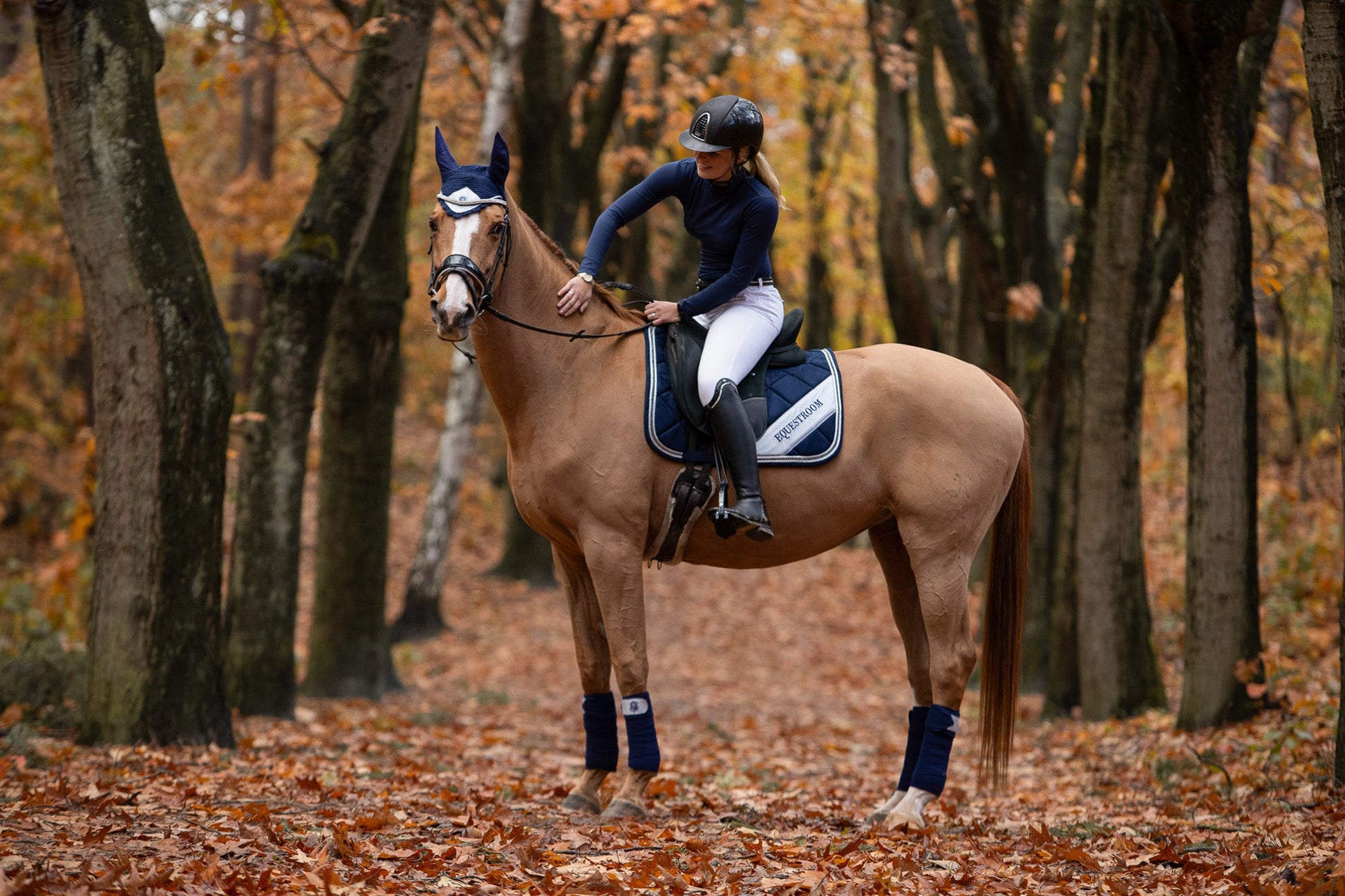 Blue Astra Saddle Pad