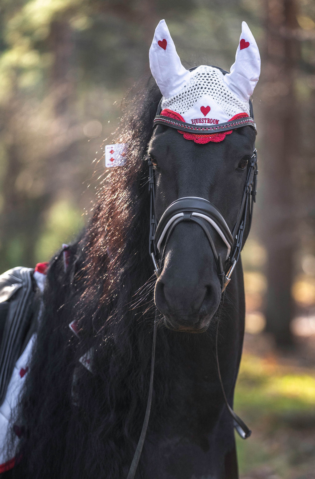 Queen Of Hearts Fly Hat