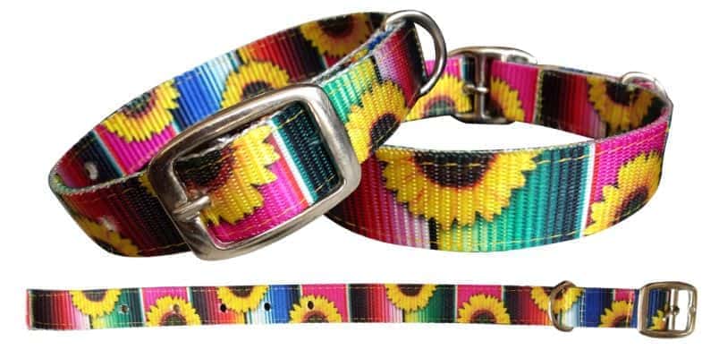 Serape & Sunflower designed nylon dog collar