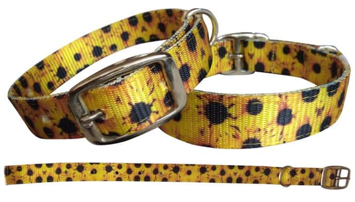 Sunflower designed nylon dog collar.