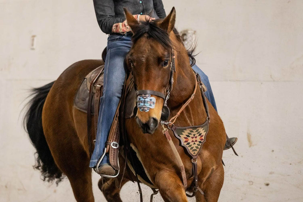 EquiBreathe™ Equine Nasal Patch - Aztec