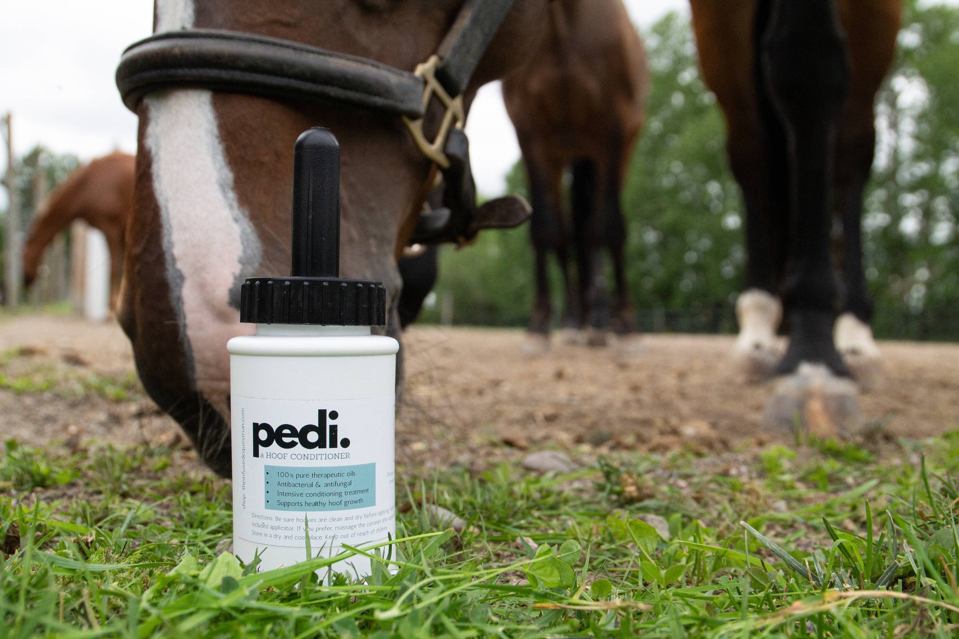 Pedi. A Hoof Conditioner (half pint/pint)