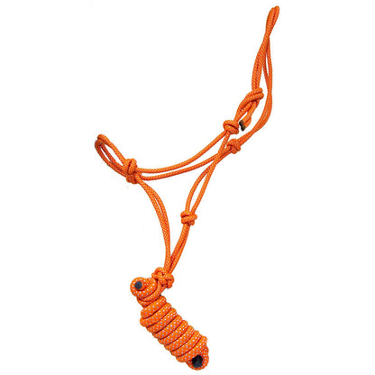 Rope Halter and Lead with Rope Nose