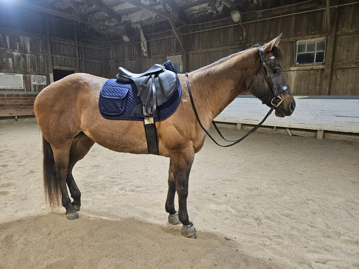Derby Originals All Purpose English Saddle Pad with Pockets Half Fleece lined for Shock Absorbing Wither Relief Design for comfort and Trail Riding.