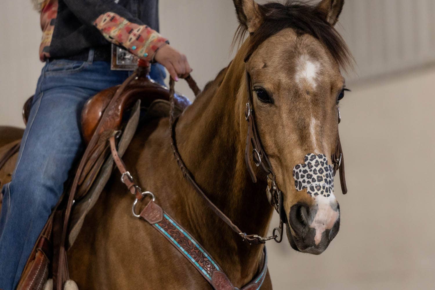 EquiBreathe™ Equine Nasal Patch - Cheetah