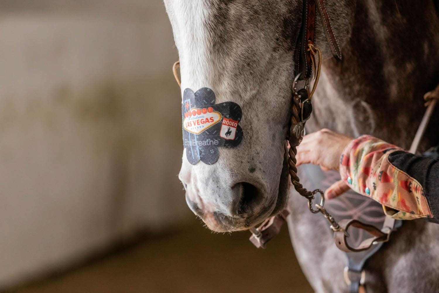 EquiBreathe™ Equine Nasal Patch - Vegas