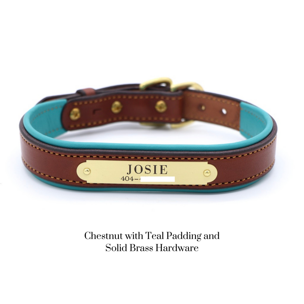 Padded Dog Collar