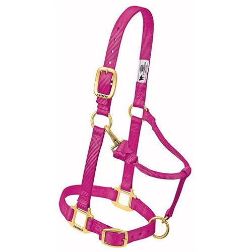 Original Adjustable Chin and Throat Snap Halter, 3/4" - Suckling Raspberry