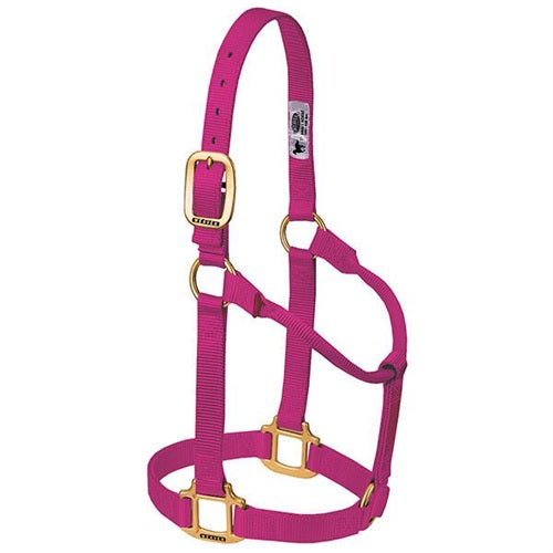 Original Non-Adjustable Halter 1" - Yearling Raspberry