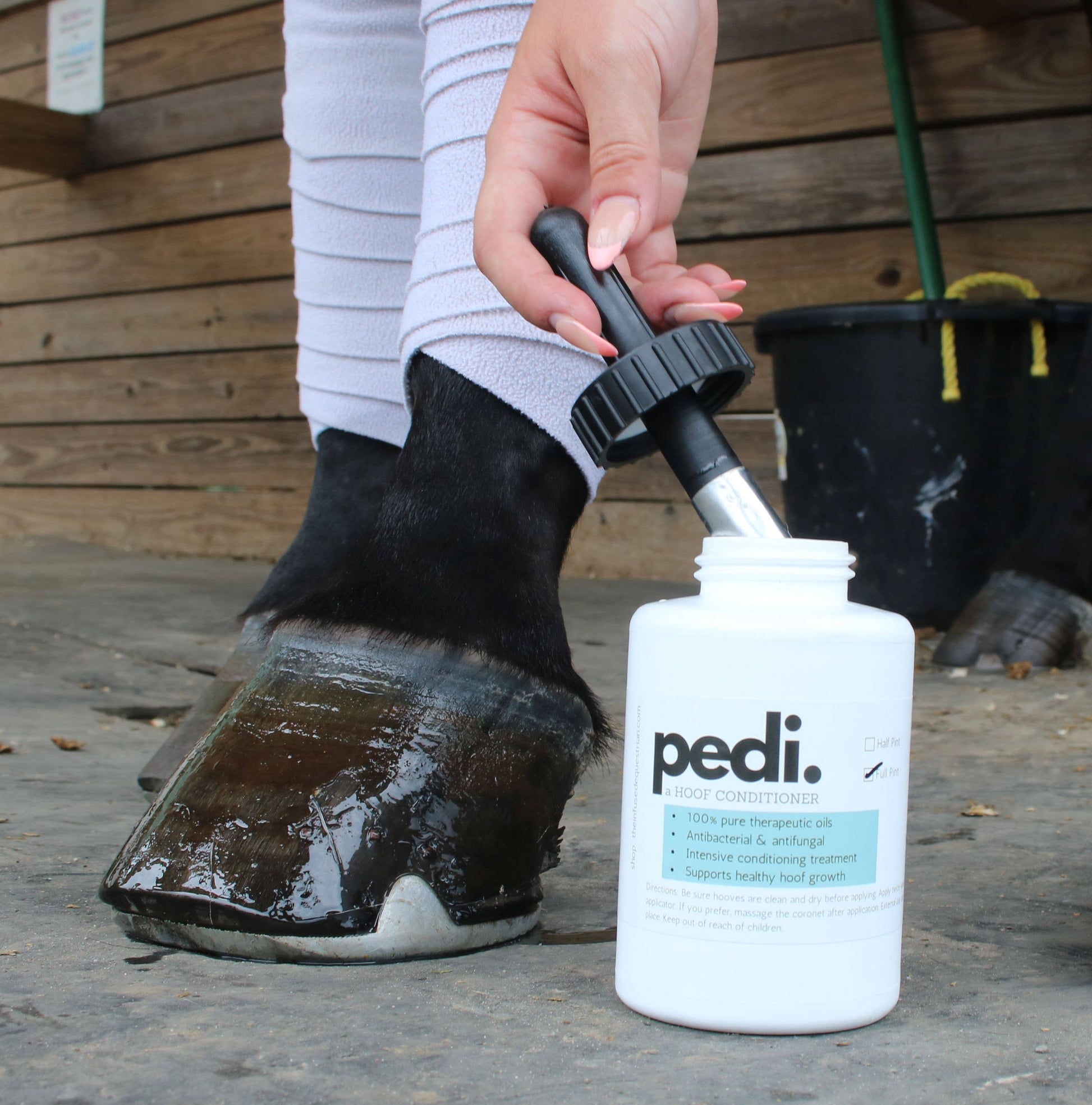 Pedi. A Hoof Conditioner (half pint/pint)