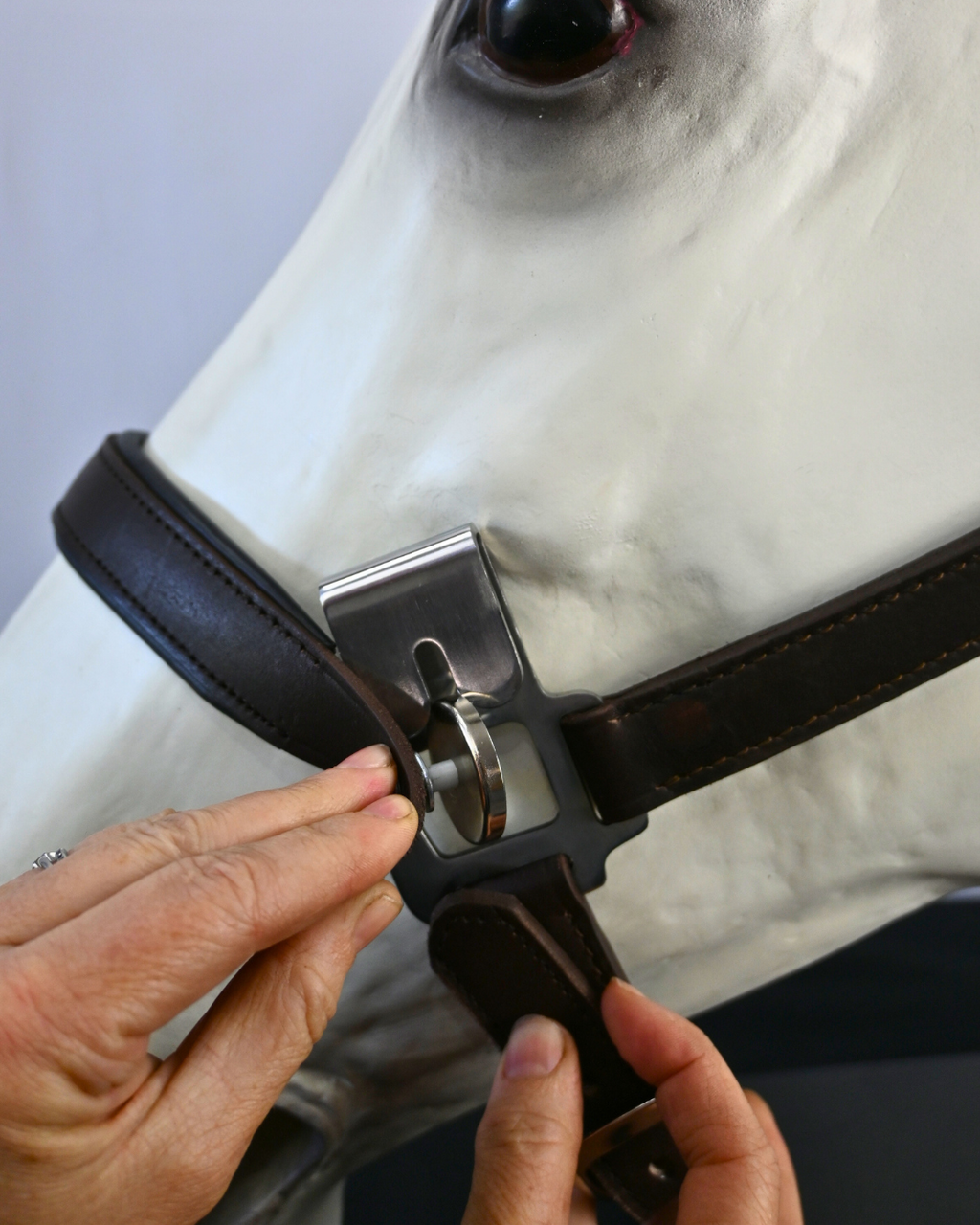 Magna Halter ™ in Blue with Fleece Nose and Fleece Crownpiece Leather Breakaway