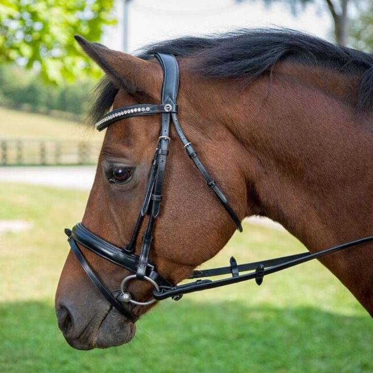 Henri de Rivel Diamonte Dressage Bridle
