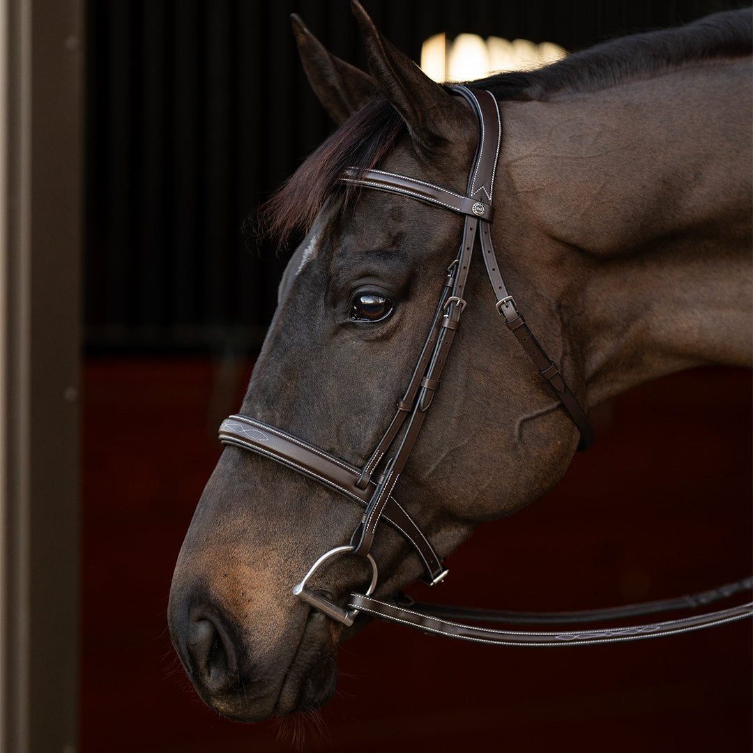 Henri de Rivel Pro Mono Crown Bridle with Padded Wide Noseband  with Laced Reins