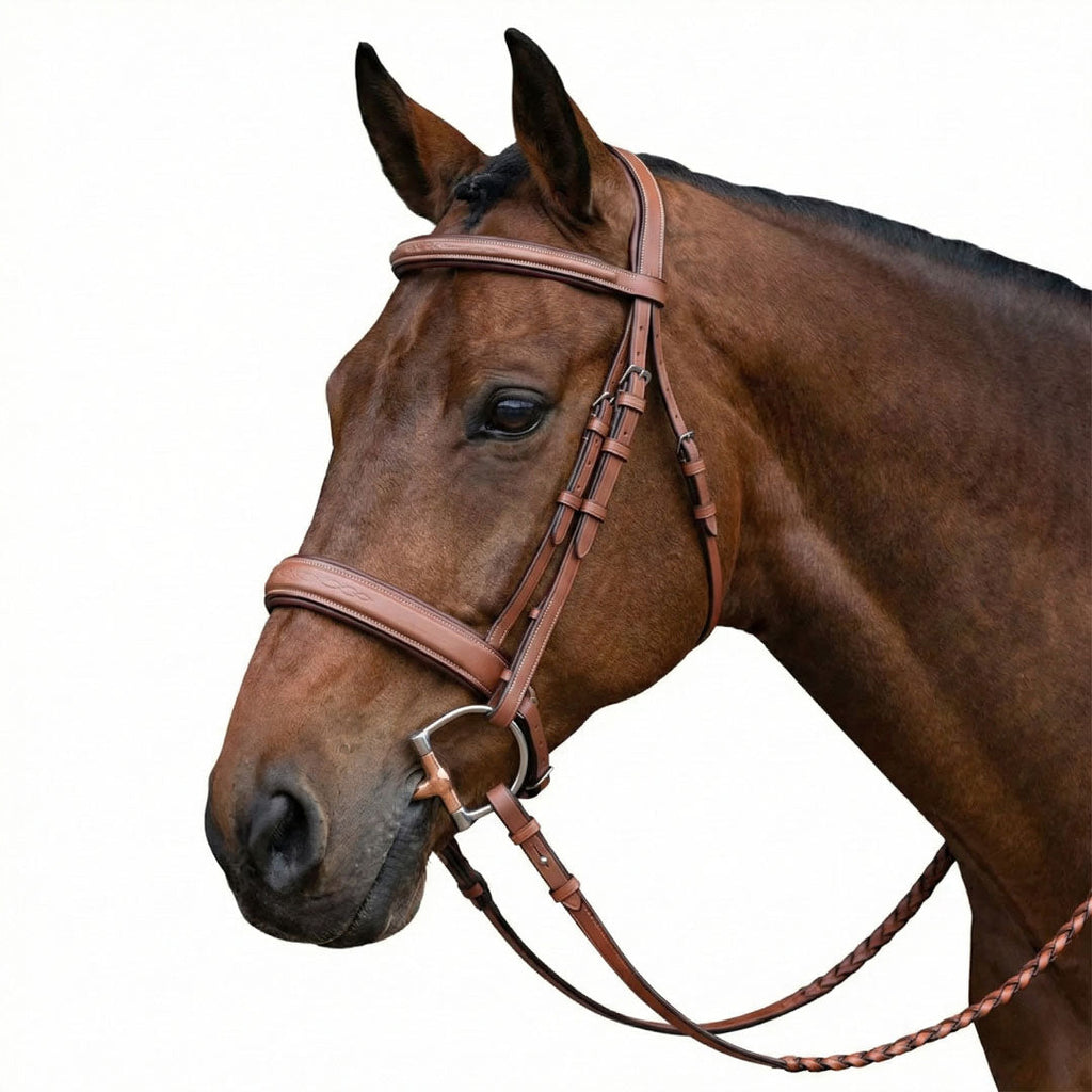 Laureate by Henri de Rivel Fancy Stitched Bridle w/ Wide Caveson and Laced Reins