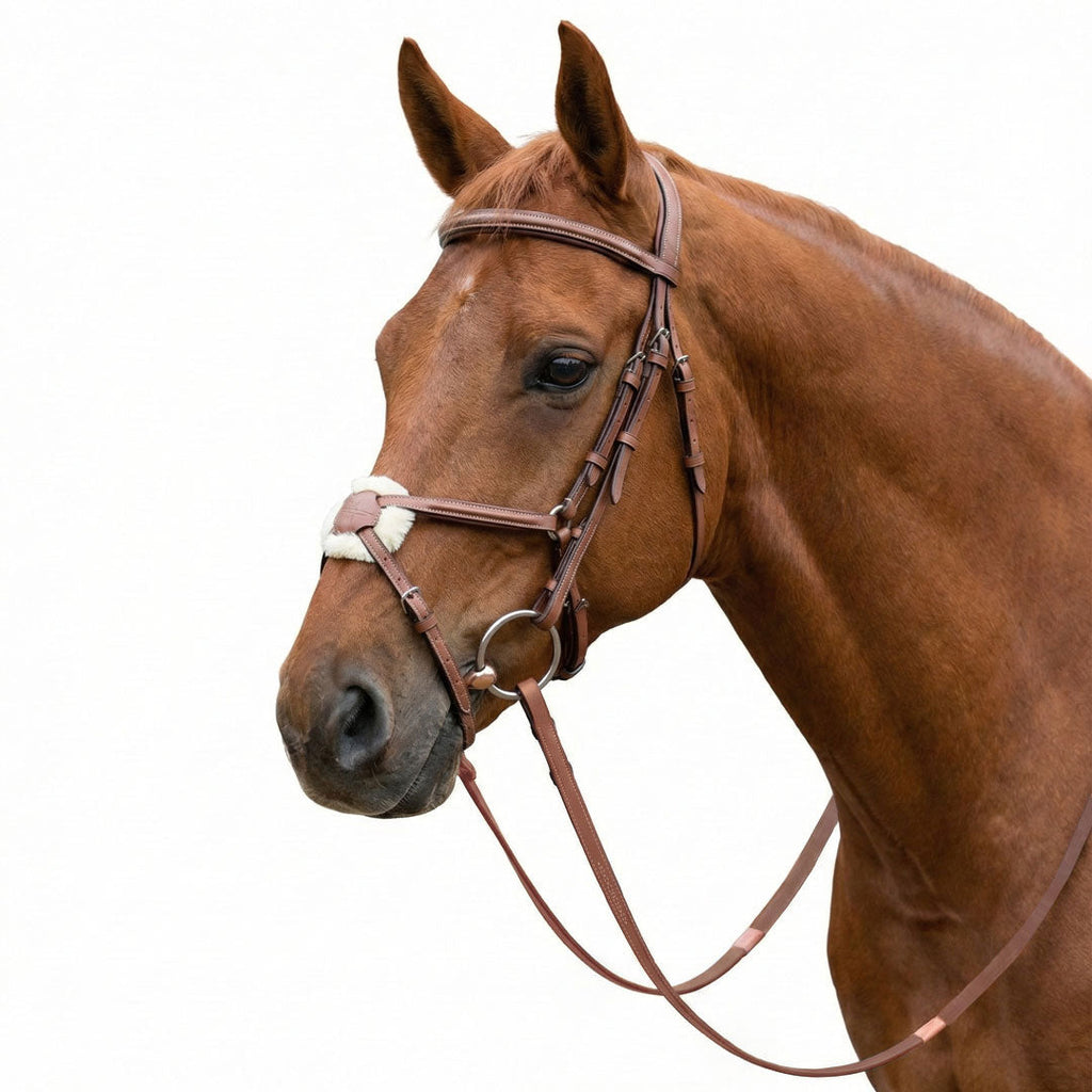 Laureate by Henri de Rivel Figure 8 Bridle w/ Rubber Reins