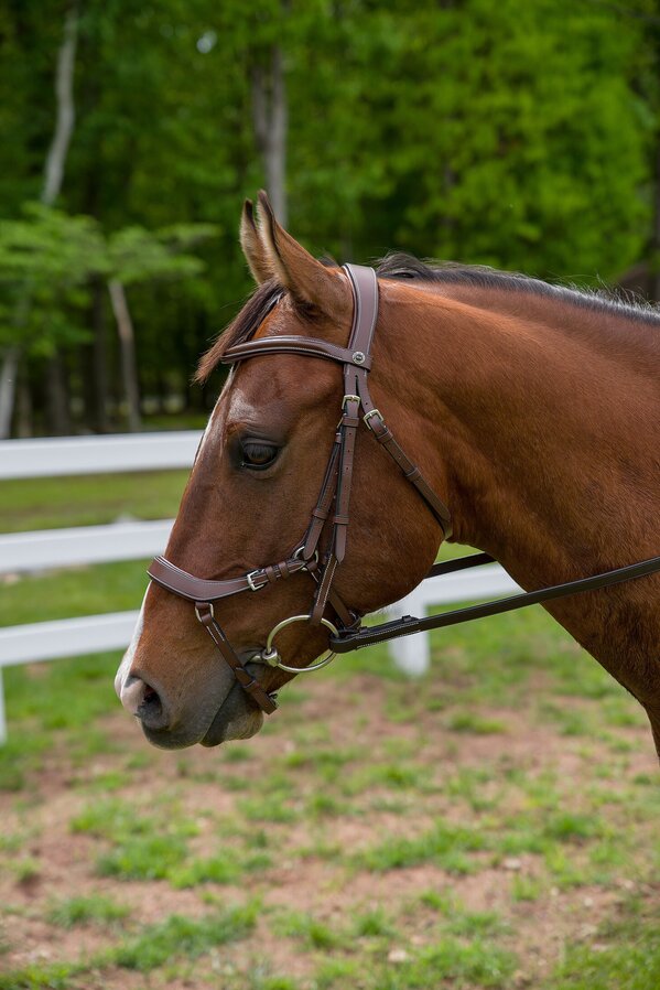 Henri de Rivel Pro Anatomical Bridle