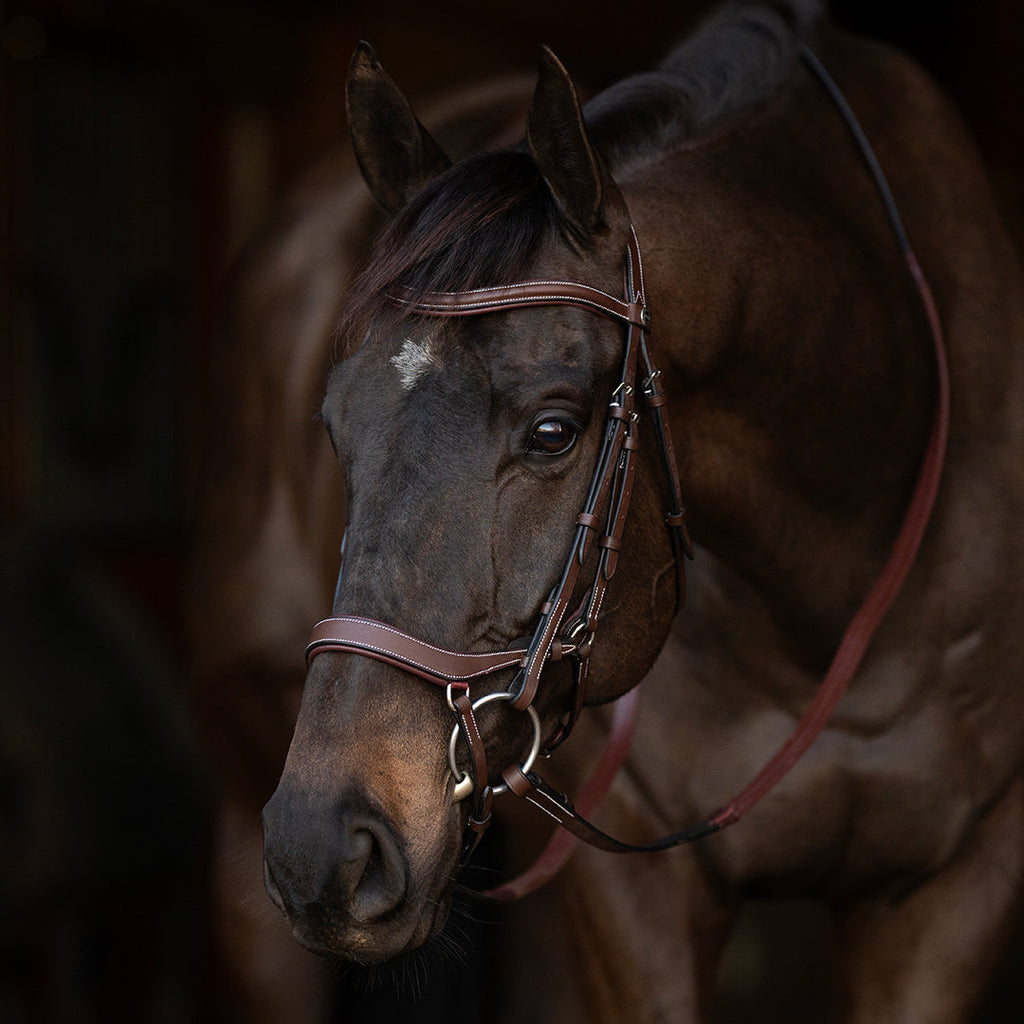 Henri de Rivel Pro Anatomical Bridle